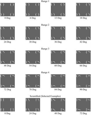 How Configural Is the Configural Superiority Effect? A Neuroimaging Investigation of Emergent Features in Visual Cortex